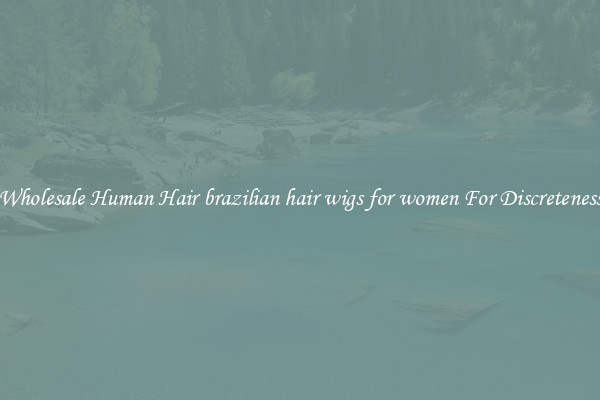 Wholesale Human Hair brazilian hair wigs for women For Discreteness