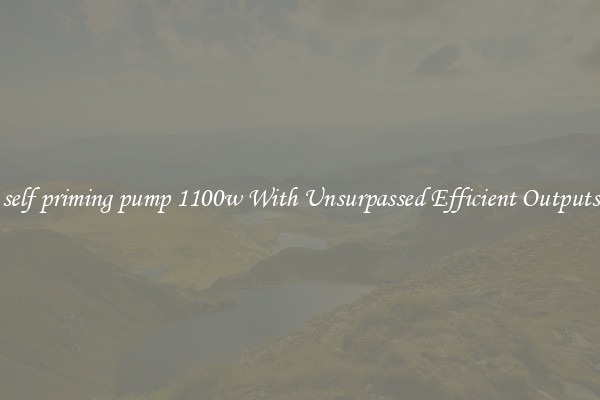 self priming pump 1100w With Unsurpassed Efficient Outputs