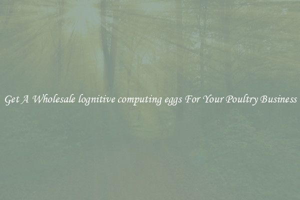 Get A Wholesale lognitive computing eggs For Your Poultry Business