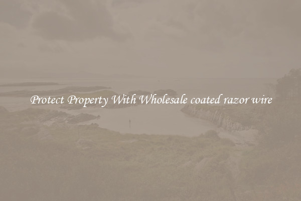 Protect Property With Wholesale coated razor wire