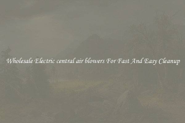 Wholesale Electric central air blowers For Fast And Easy Cleanup