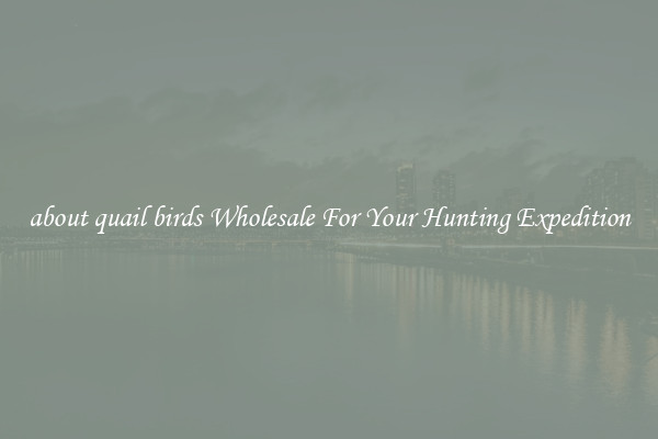 about quail birds Wholesale For Your Hunting Expedition
