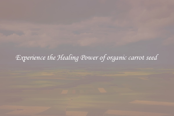 Experience the Healing Power of organic carrot seed 