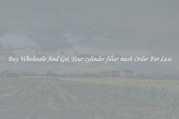 Buy Wholesale And Get Your cylinder filter mesh Order For Less