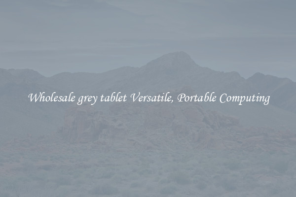 Wholesale grey tablet Versatile, Portable Computing