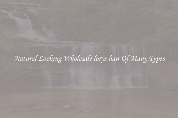 Natural Looking Wholesale lorys hair Of Many Types