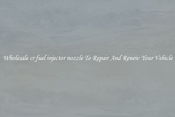 Wholesale cr fuel injector nozzle To Repair And Renew Your Vehicle