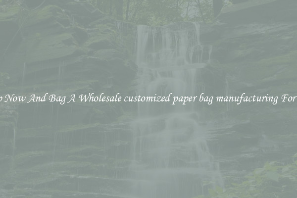 Shop Now And Bag A Wholesale customized paper bag manufacturing For Less