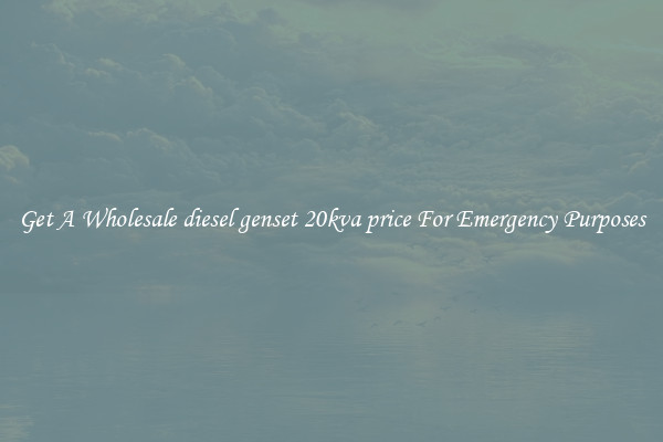Get A Wholesale diesel genset 20kva price For Emergency Purposes