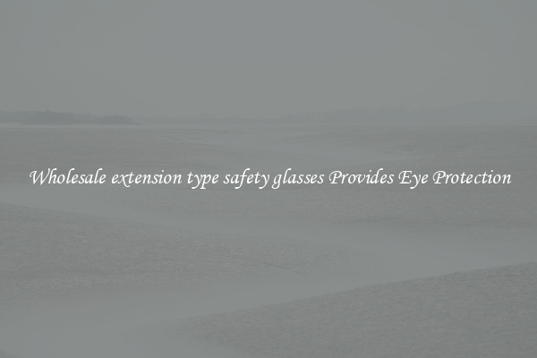 Wholesale extension type safety glasses Provides Eye Protection
