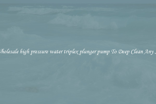 Buy Wholesale high pressure water triplex plunger pump To Deep Clean Any Surface